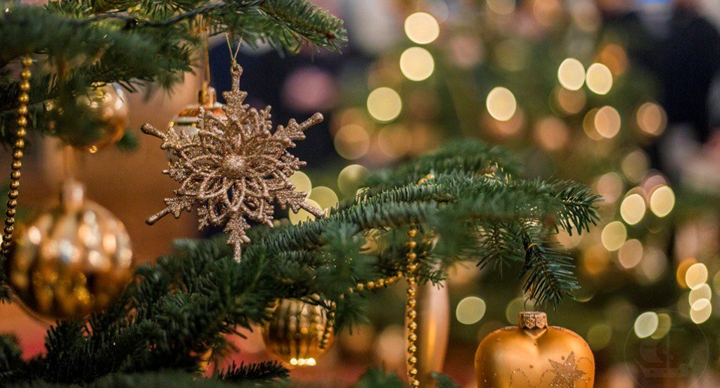 из интернета