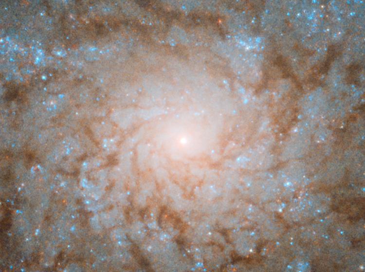 NASA/ESA Hubble Space Telescope