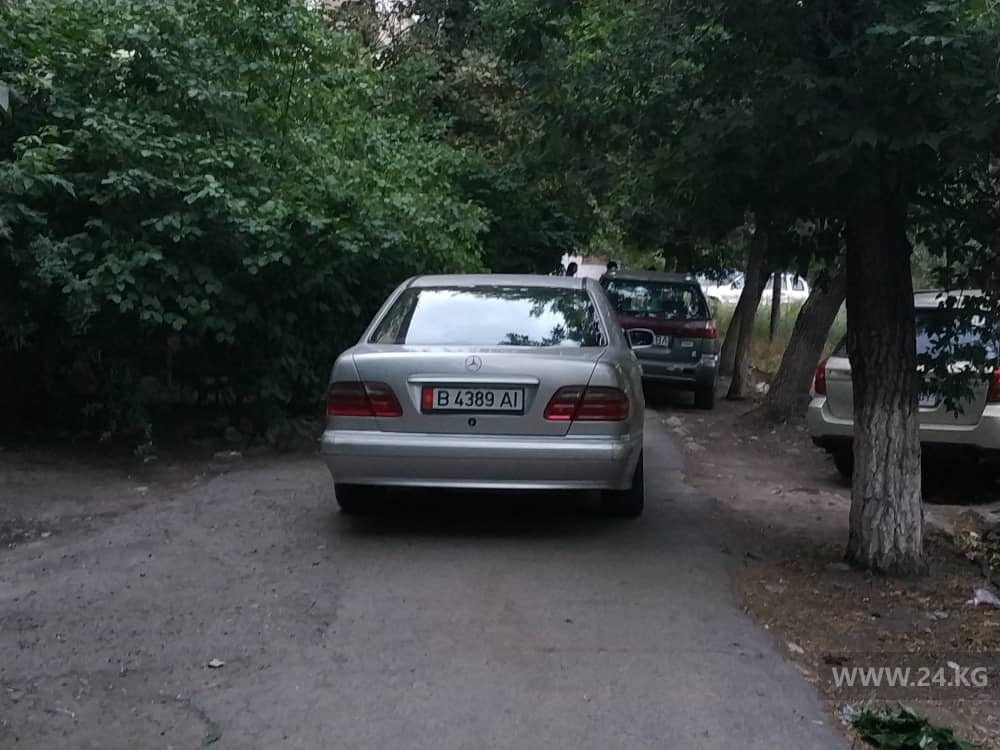 читателя 24-kg.com