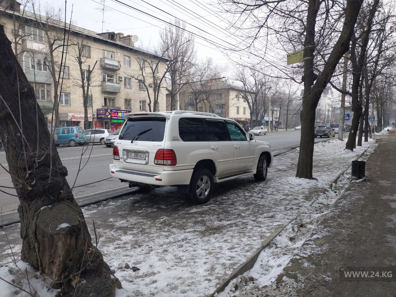 читателя 24-kg.com