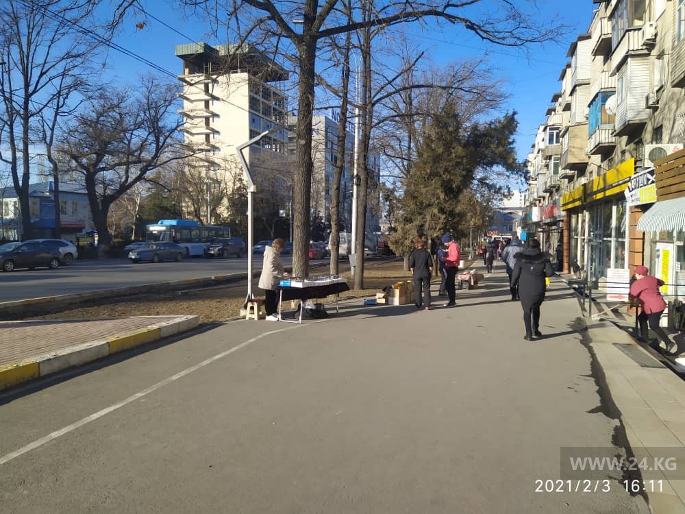 читателя 24-kg.com