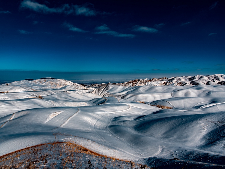 Владислава Ногая