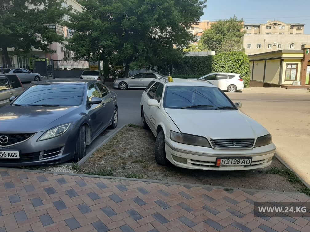 читателя 24-kg.com