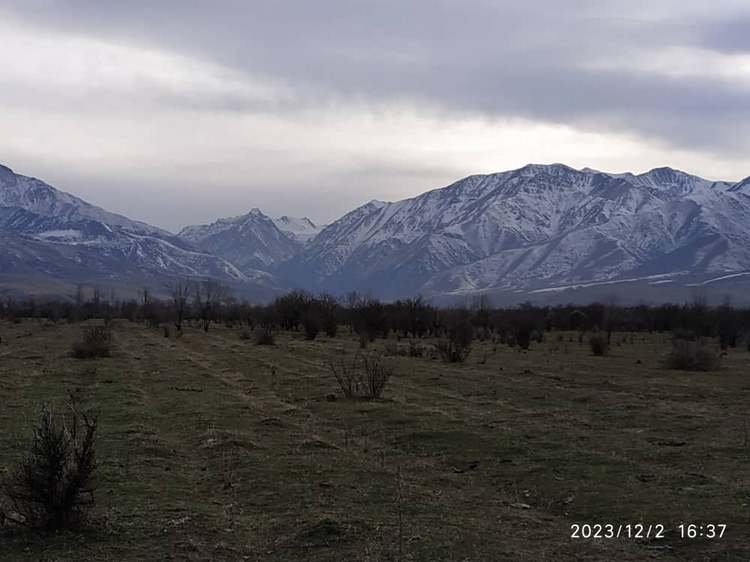 Сергея Терентьева