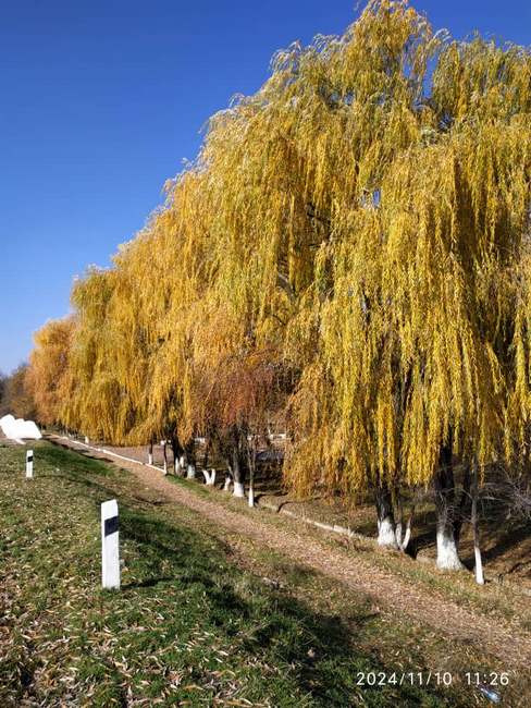 Сергея Терентьева