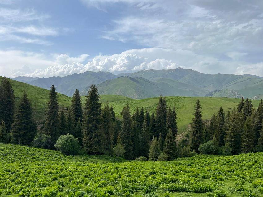 Гулчоро Байзакова
