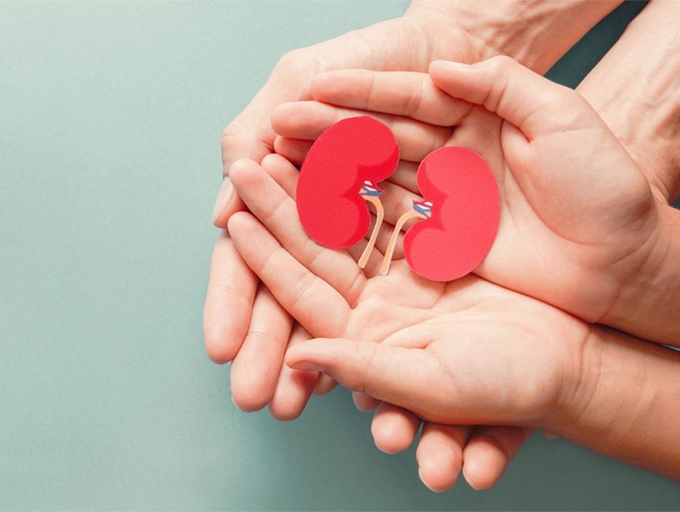 из интернета