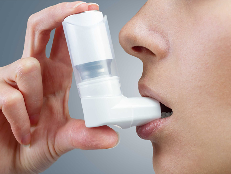 из интернета