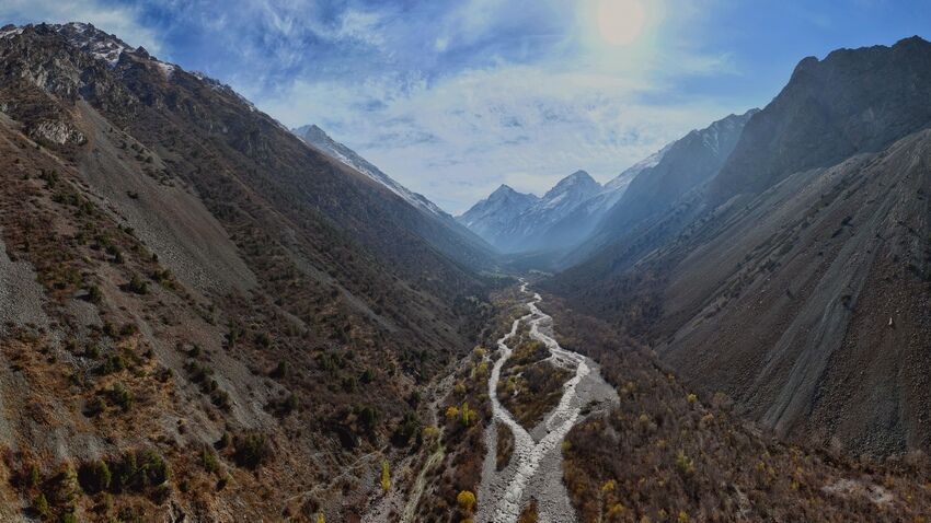 Евгения Липкина