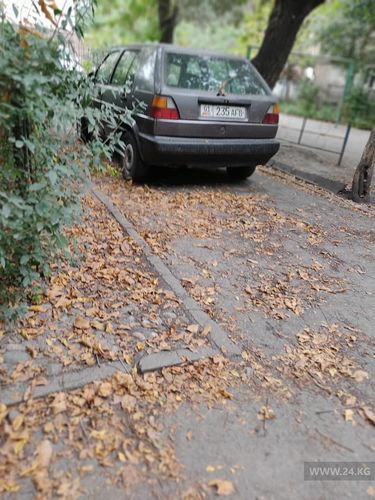 читателя 24-kg.com