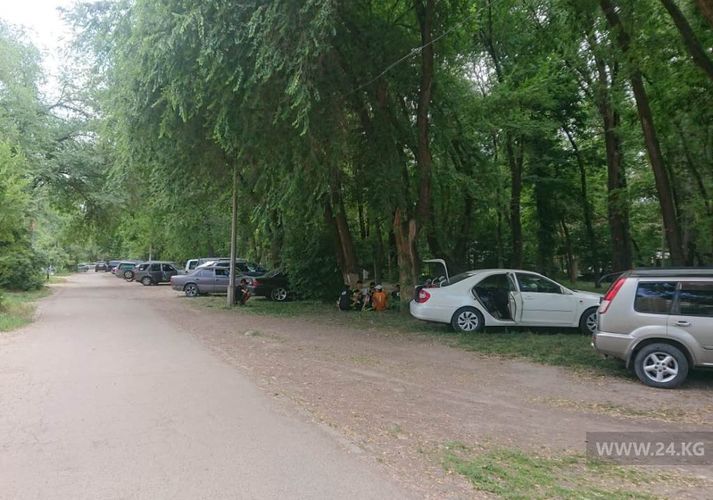 читателя 24-kg.com