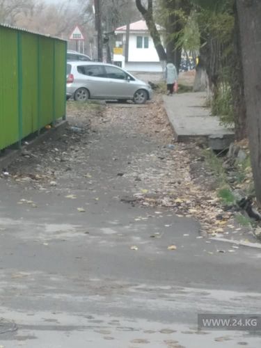 читателя 24-kg.com