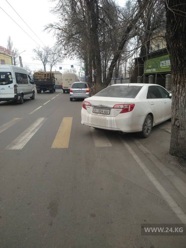 читателя 24-kg.com