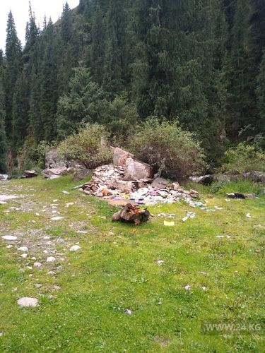 читателя 24-kg.com