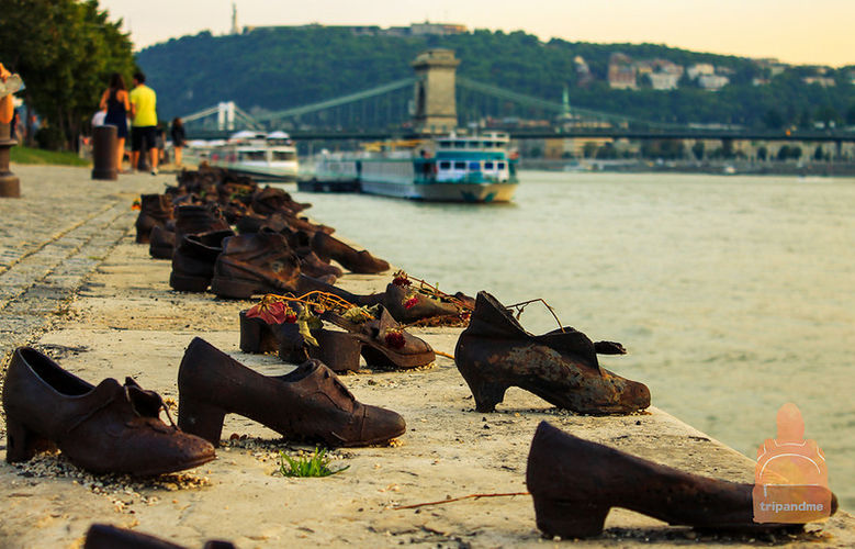 из интернета