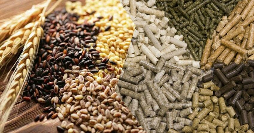 В&nbsp;КР&nbsp;нулевую ставку НДС на&nbsp;некоторые сельхозтовары сохранят до&nbsp;2027 года 