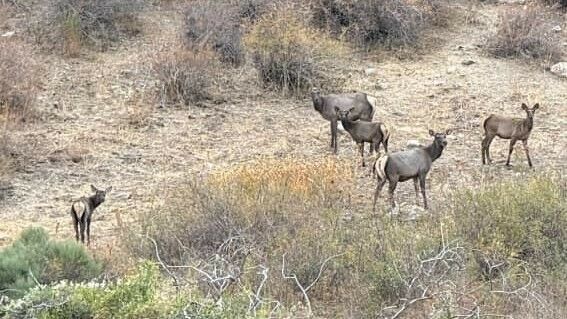 Минприроды