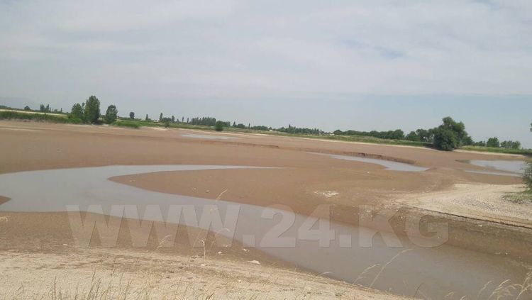 24-kg.com news agency