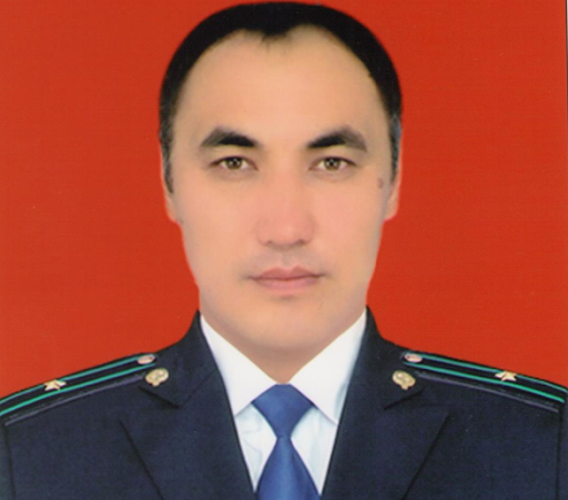 из интернета