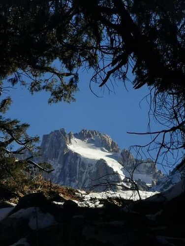 Ильи Шипулина