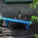 Фото Евгения Котенко. Многие раскритиковали его работы