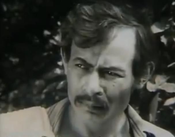 из интернета