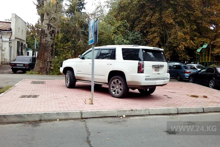 читателя. Чудаки парковки