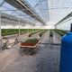Фото Иссык-Атинской райгосадминистрации. Теплица компании «Ин Вотер Солюшн Агро»