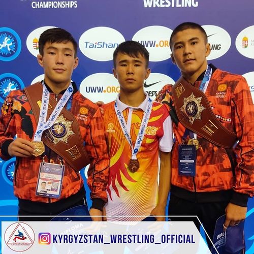 из интернета