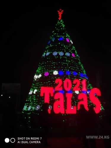 мэрии Таласа