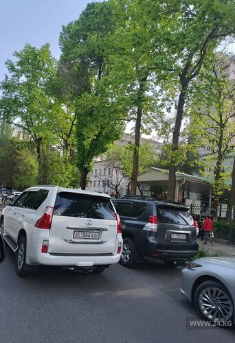 читателя 24-kg.com