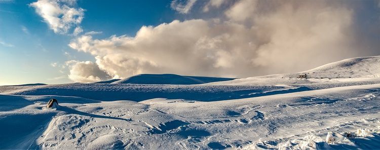 Виктора Клейменова