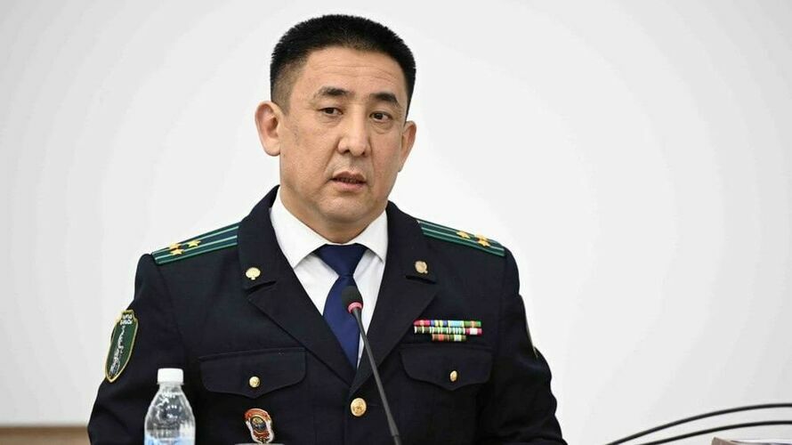 из интернета