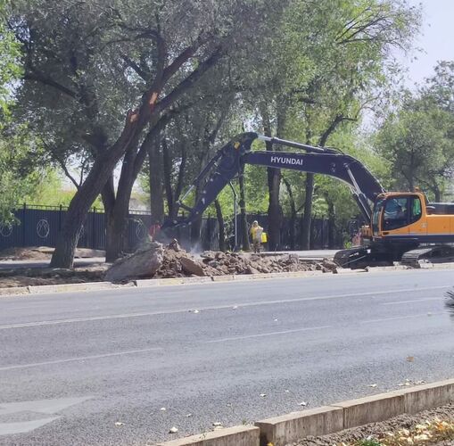 из интернета