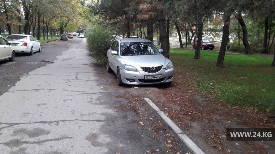 читателя 24-kg.com