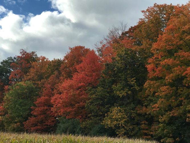 из архива Динары Аляевой