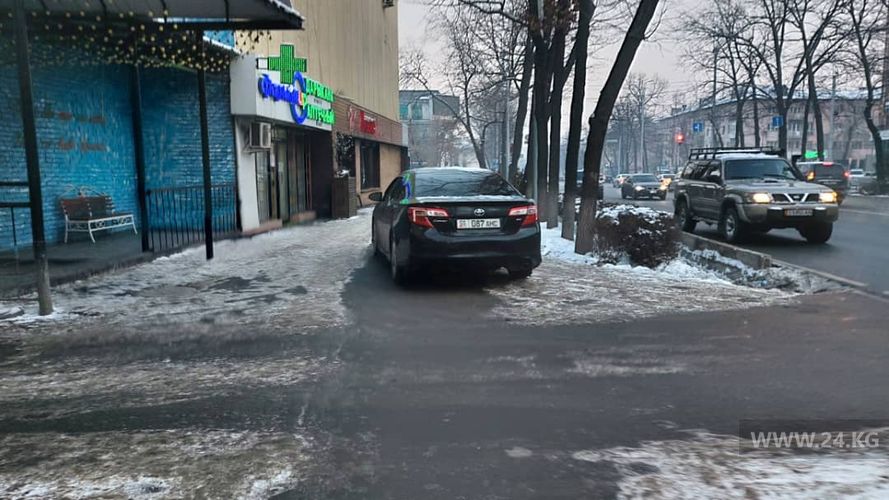 читателя 24-kg.com