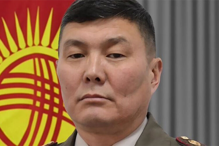 из интернета