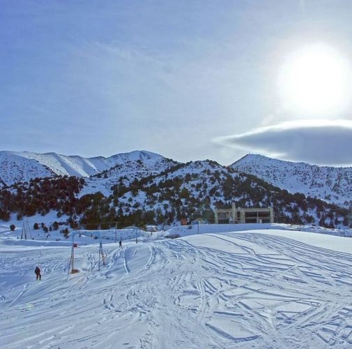 из интернета