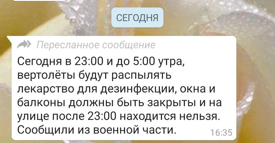 скрин с WhatsApp
