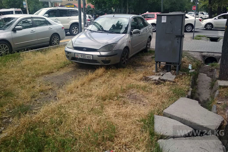 читателя. Чудаки парковки