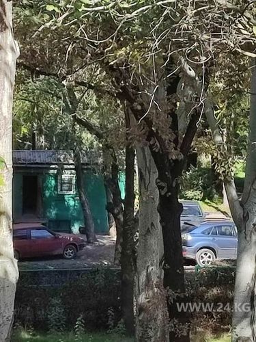 читателя 24-kg.com