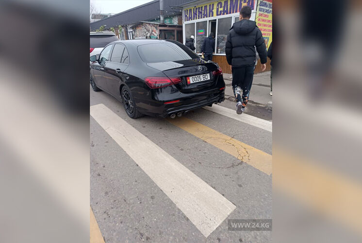 читатель 24-kg.com