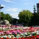 Фото ИА «24-kg.com». Улица Бишкек в Анкаре