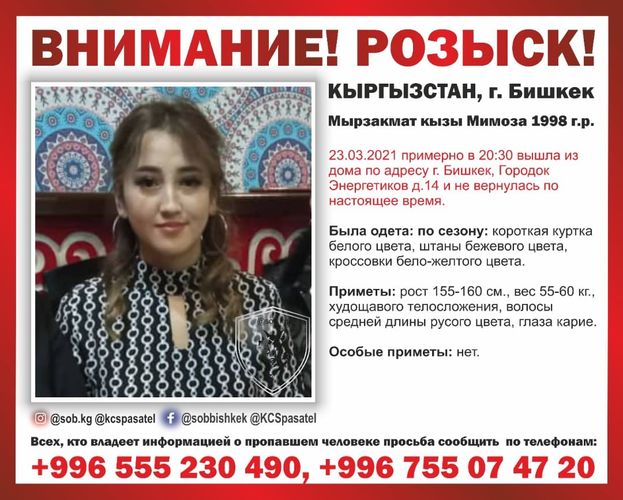 Совета общественной безопасности