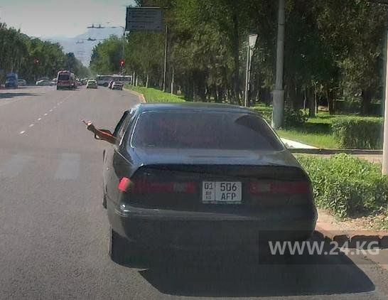 читателя 24-kg.com 