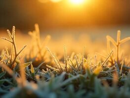 В&nbsp;Бишкеке ночью ожидаются заморозки. Прогноз погоды на&nbsp;24-26 ноября 