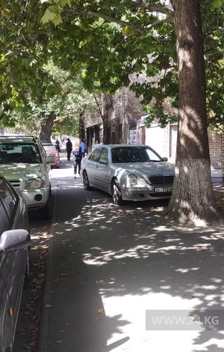 читателя 24-kg.com