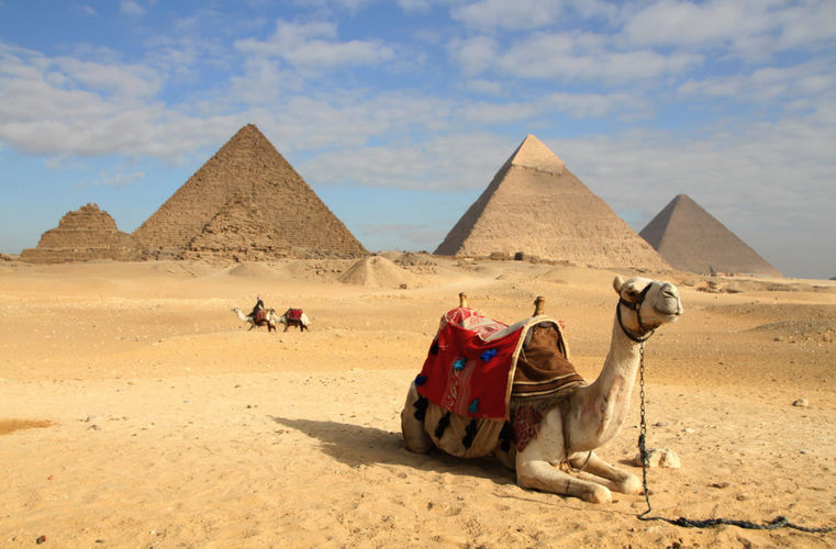 из интернета