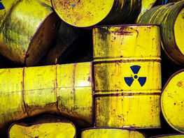 Cabinet appoints authority responsible for disposal of pesticides, toxic waste